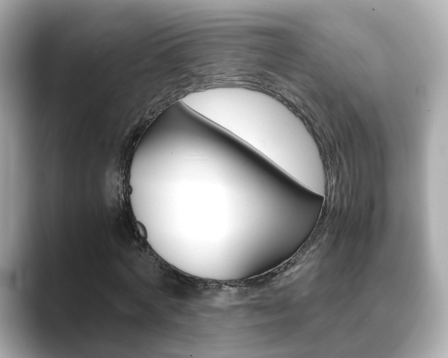 X0000089690772200706210833