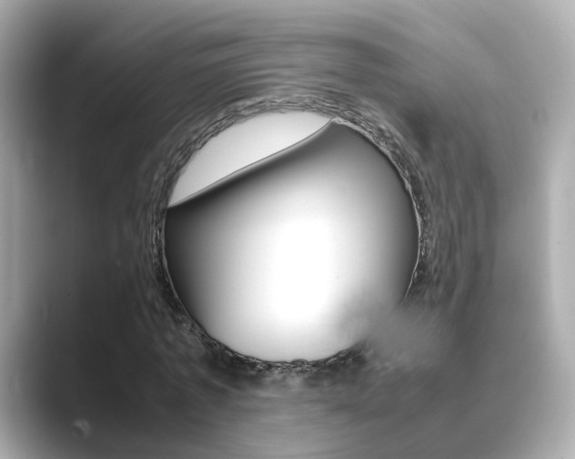 X0000089690773200706210833