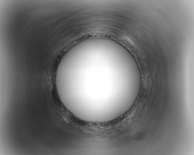 X0000089690774200706210833