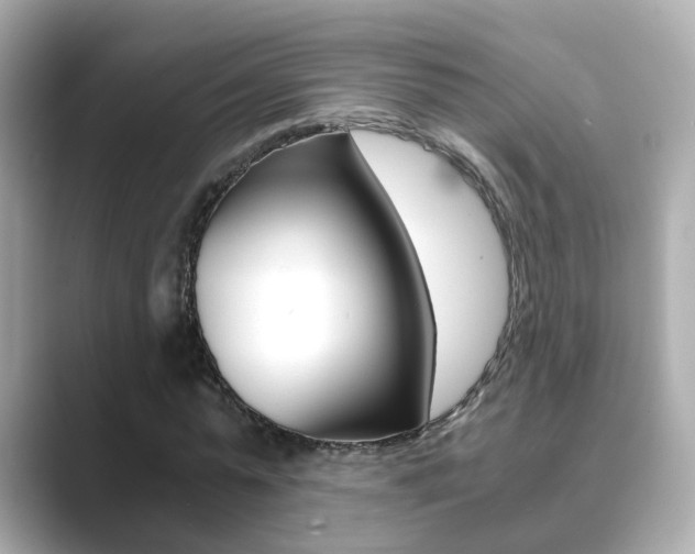 X0000089690775200706210833