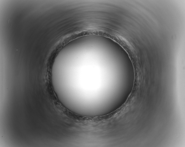 X0000089690776200706210833