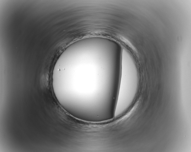 X0000089690777200706210833