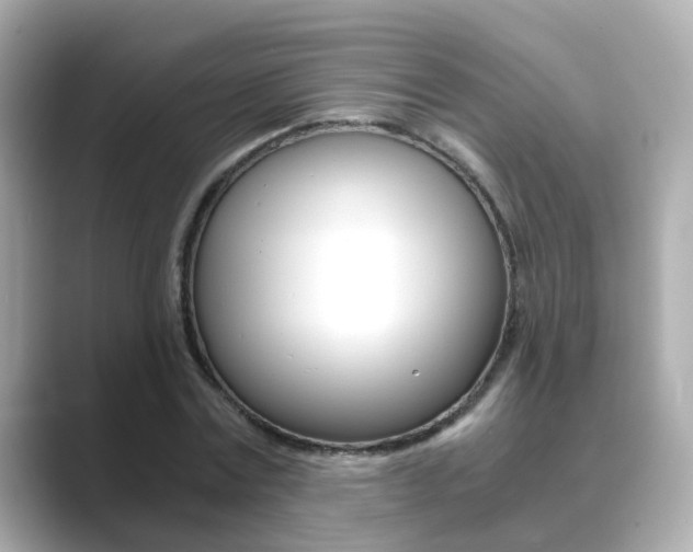 X0000089690779200706210833