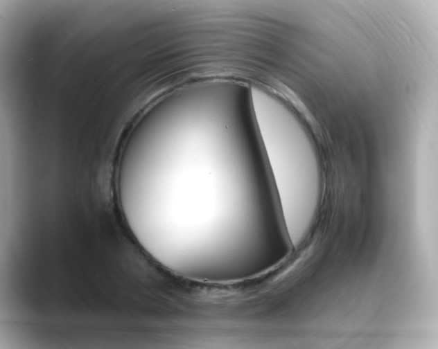 X0000089690786200706210833