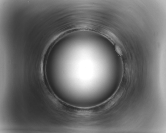 X0000089690788200706210833