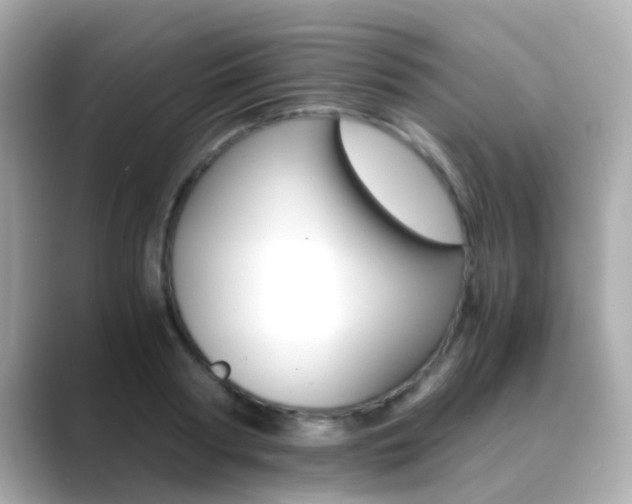 X0000089690794200706210833
