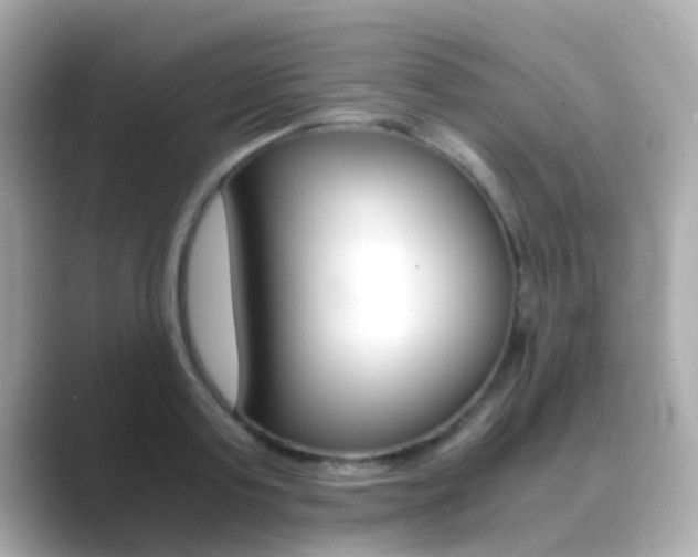 X0000089690795200706210833