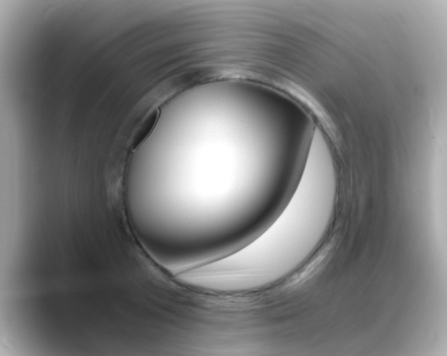X0000089690801200706210833