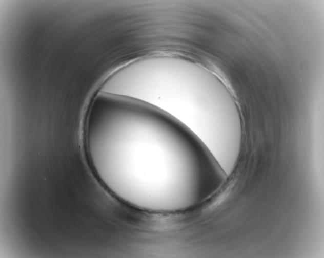 X0000089690803200706210833