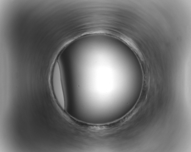 X0000089690805200706210833