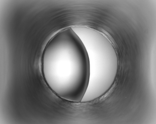 X0000089690812200706210833