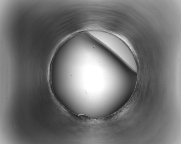 X0000089690815200706210833