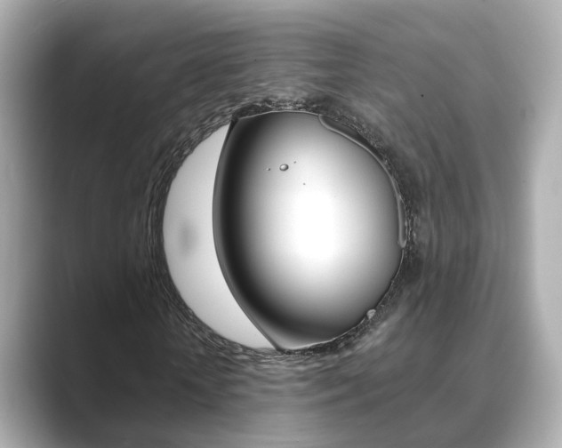 X0000089690818200706210832