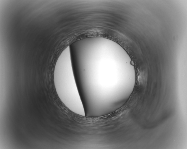 X0000089690819200706210832
