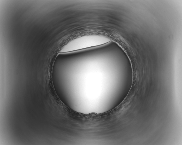 X0000089690821200706210832