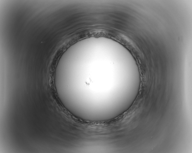 X0000089690823200706210832