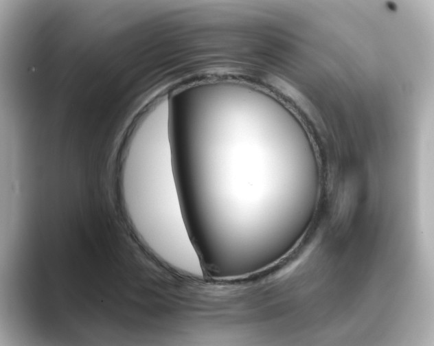 X0000089690829200706210832