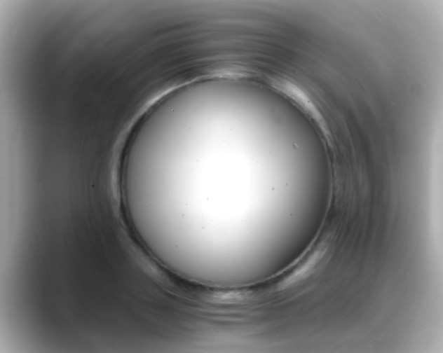X0000089690843200706210832
