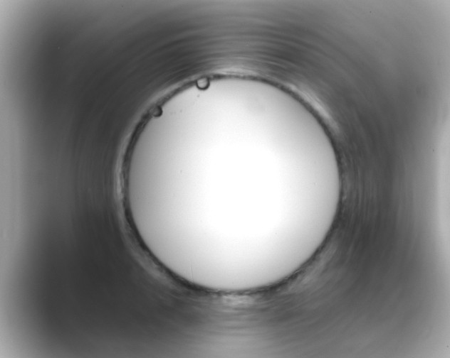 X0000089690848200706210832