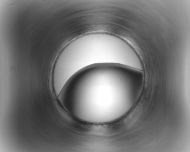 X0000089690850200706210832