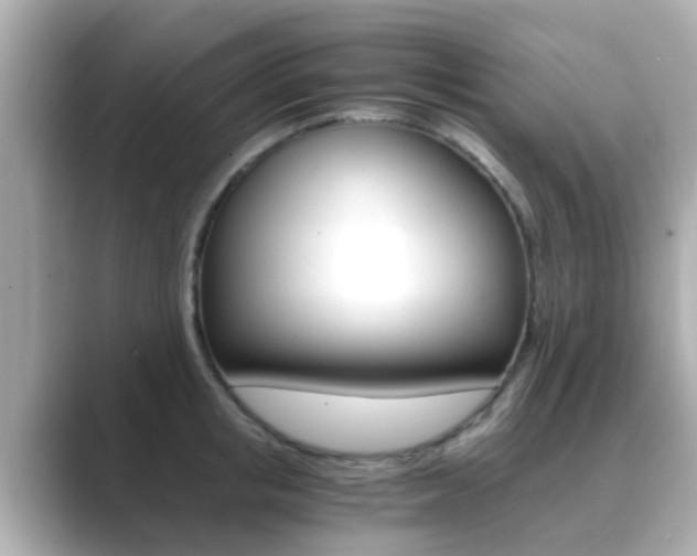 X0000089690853200706210832