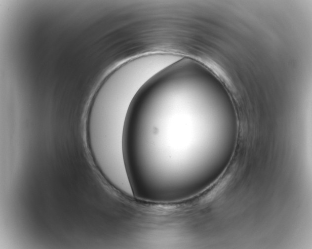 X0000089690854200706210832