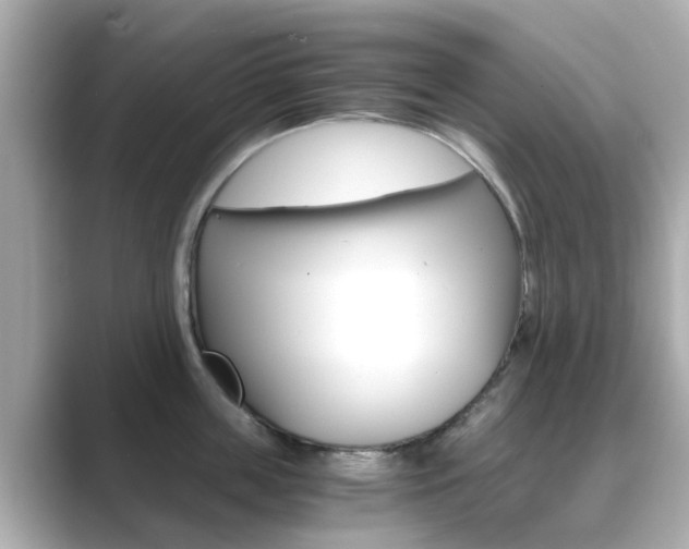 X0000089690859200706210833