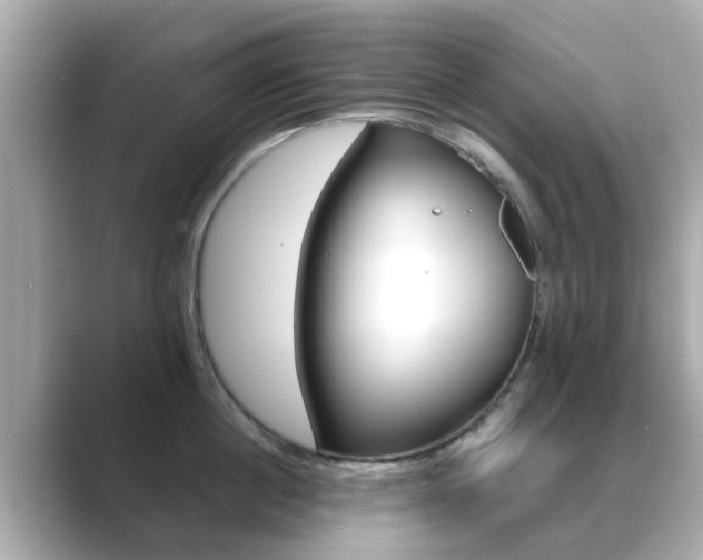 X0000089690860200706210833