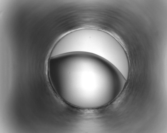 X0000089690862200706210833