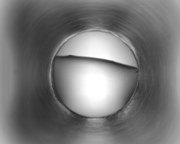 X0000089690863200706210833