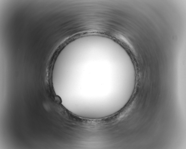 X0000089690875200706210832