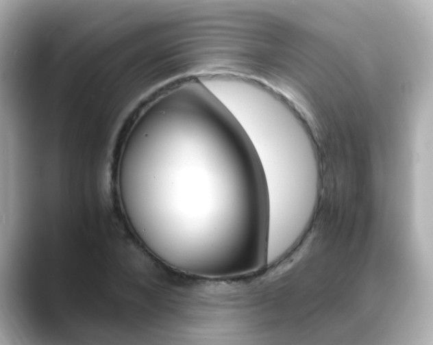 X0000089690880200706210832