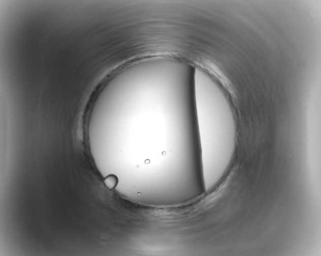 X0000089690883200706210832