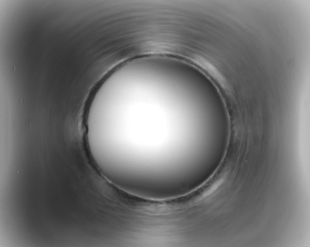 X0000089690885200706210832