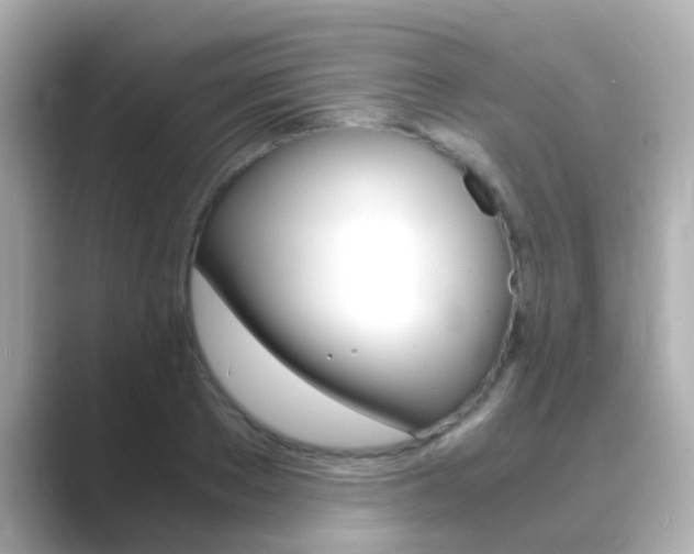 X0000089690889200706210832