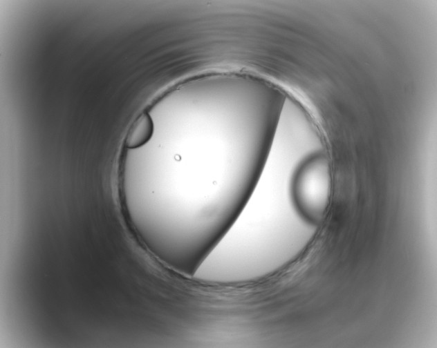 X0000089690895200706210832