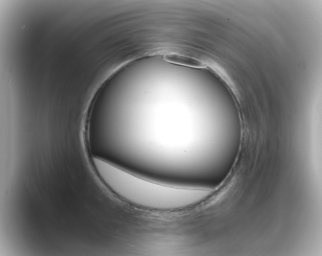 X0000089690901200706210832