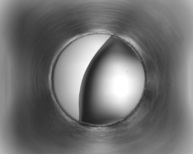X0000089690902200706210831