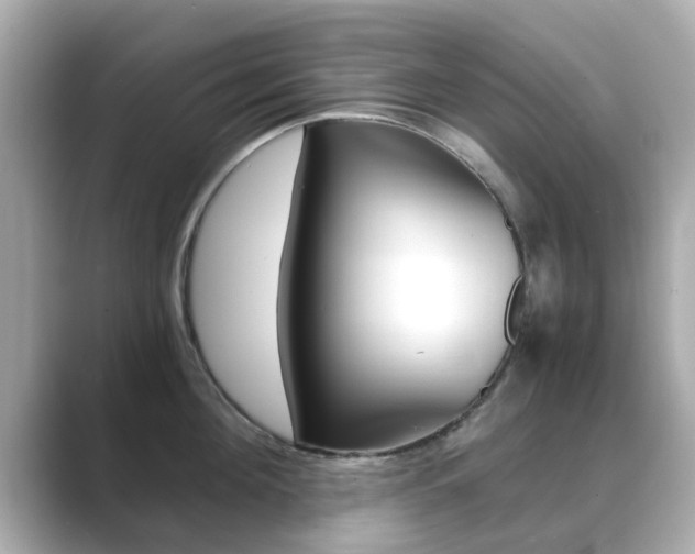 X0000089690908200706210831