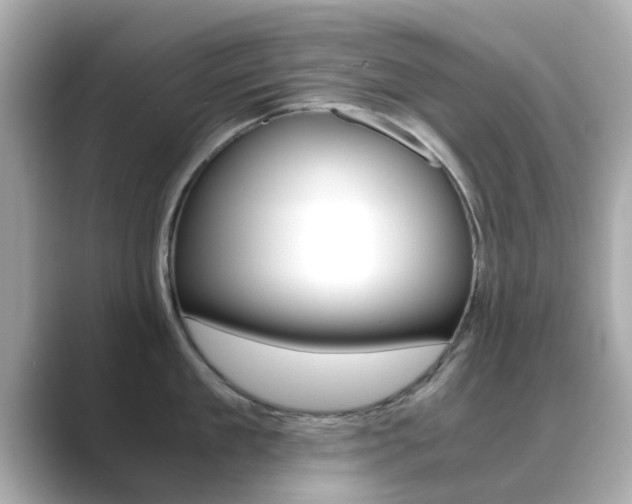 X0000089690909200706210831