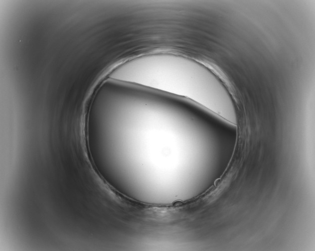 X0000089690910200706210831
