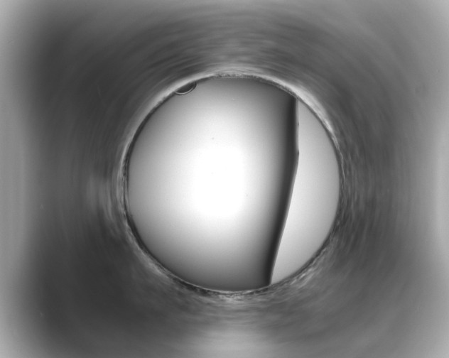 X0000089690911200706210831