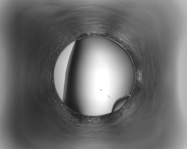 X0000089690915200706210831