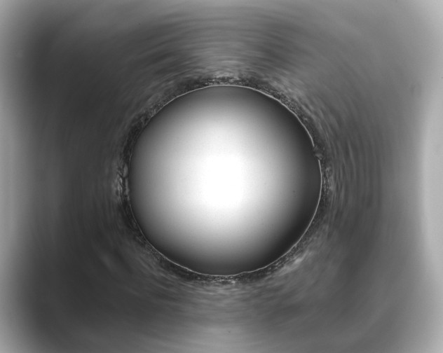 X0000089690916200706210831