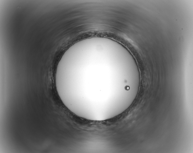 X0000089690918200706210831