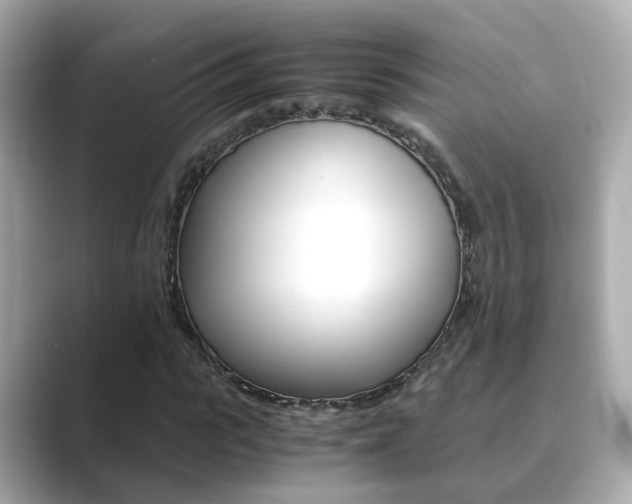 X0000089690919200706210831