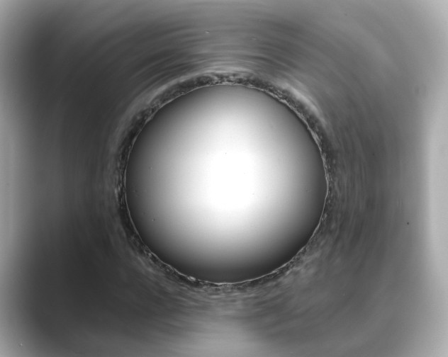 X0000089690920200706210831