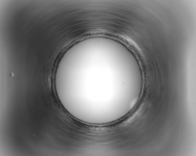 X0000089690921200706210831