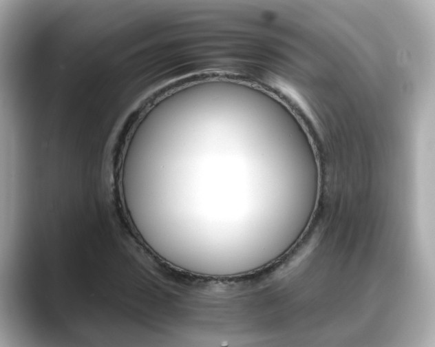 X0000089690923200706210831