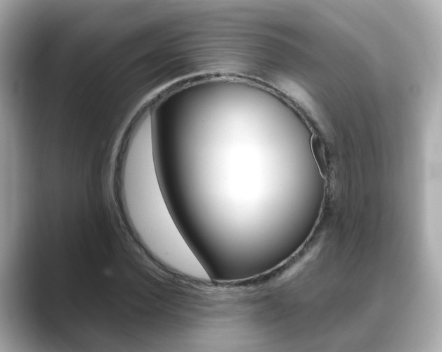 X0000089690924200706210831